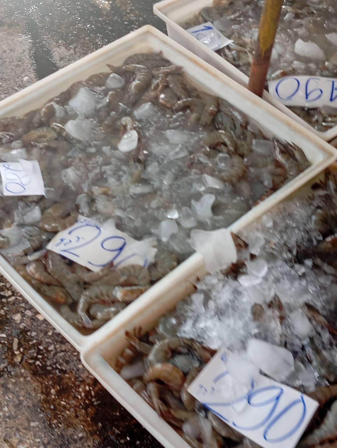 ตลาดมหาชัย - รูปที่ 3