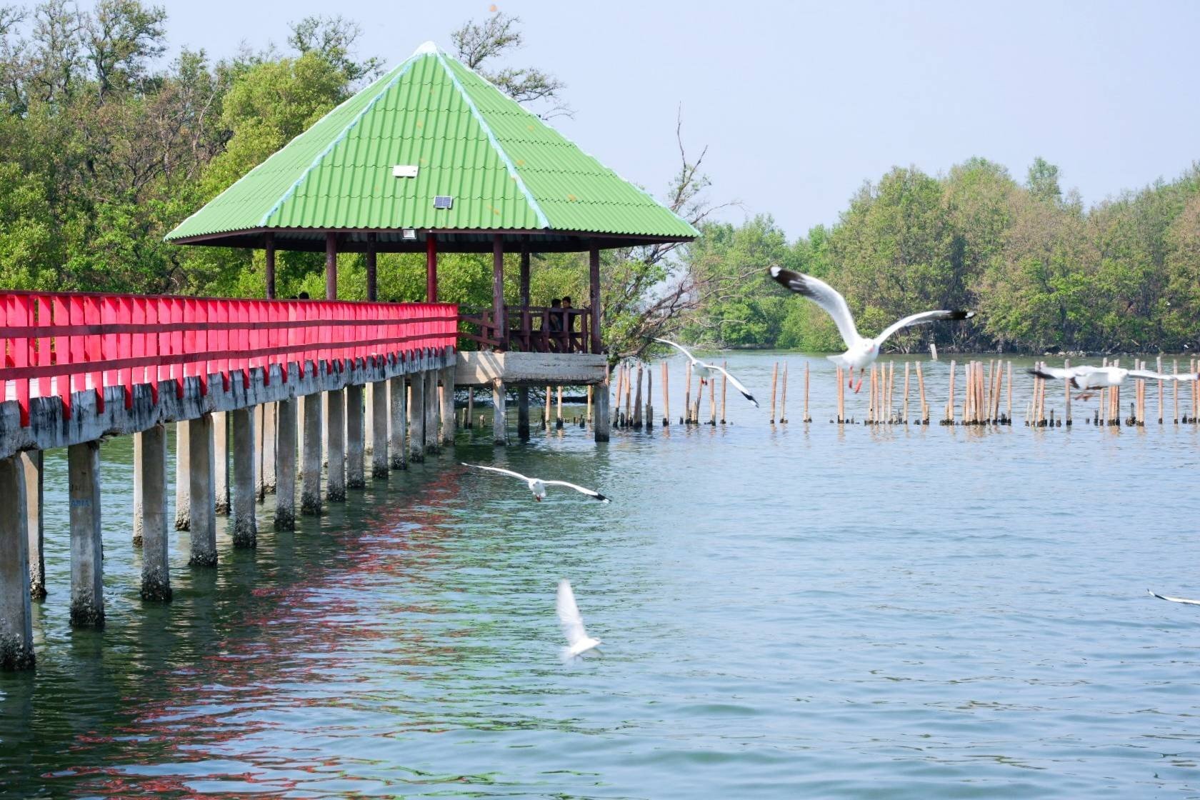 สะพานแดง จุดชมวิวปลาโลมา - รูปที่ 4