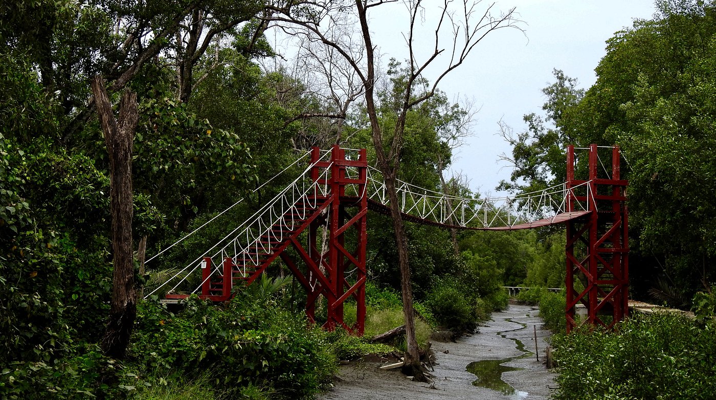 ศูนย์ศึกษาธรรมชาติป่าชายเลนอ่าวมหาชัย - รูปที่ 3