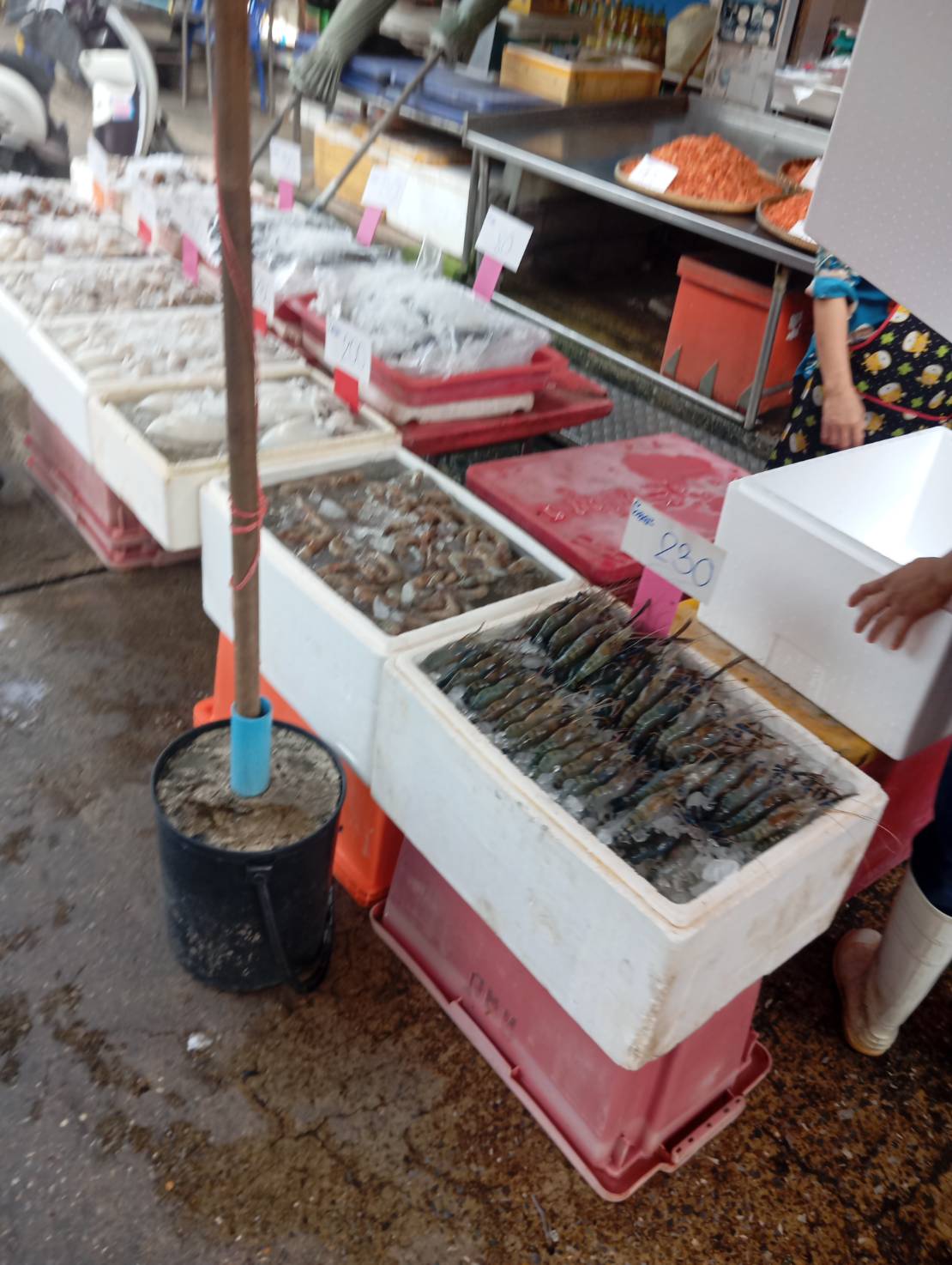 ตลาดมหาชัย - รูปที่ 5