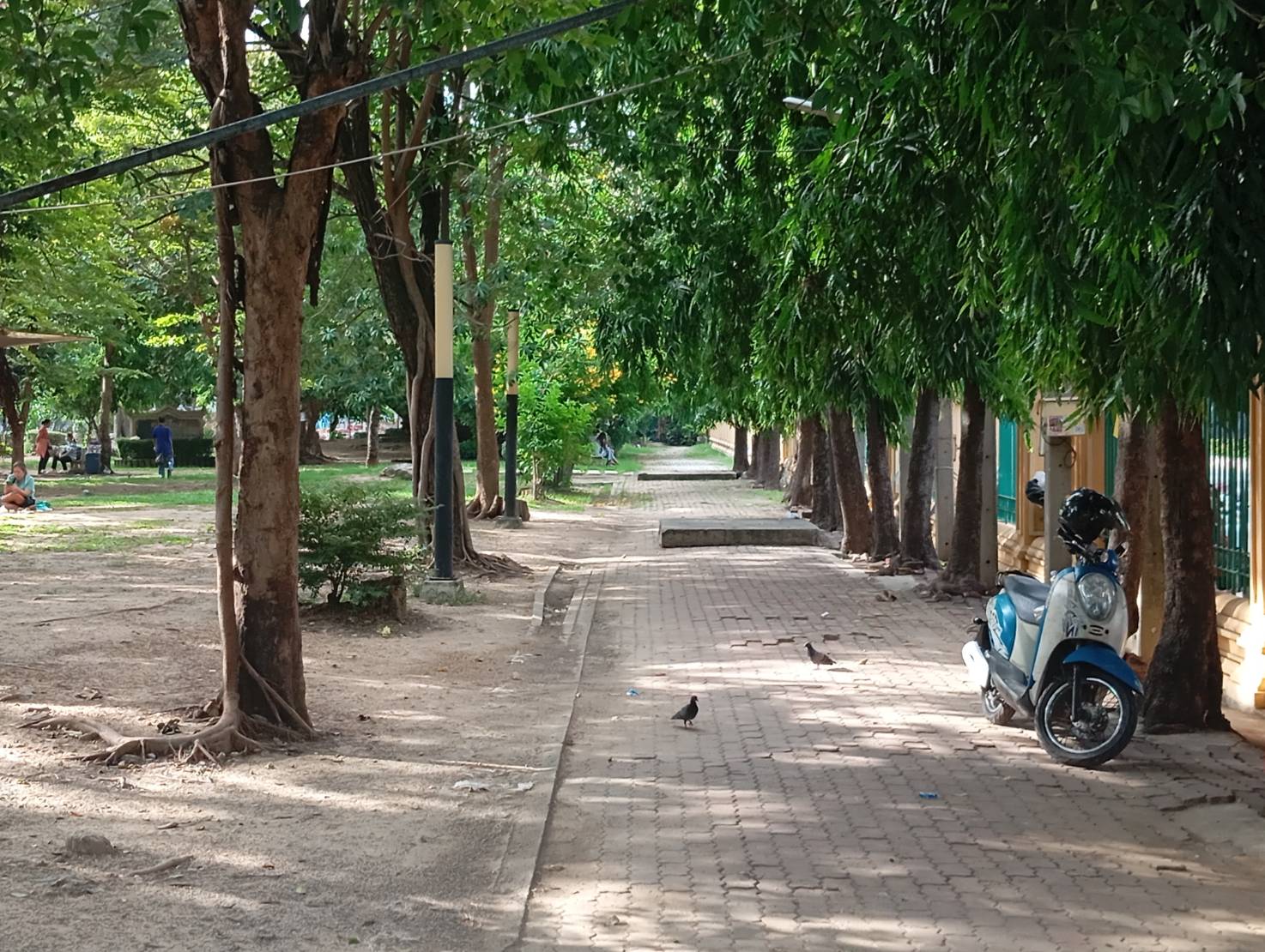 สวนสาธารณะ