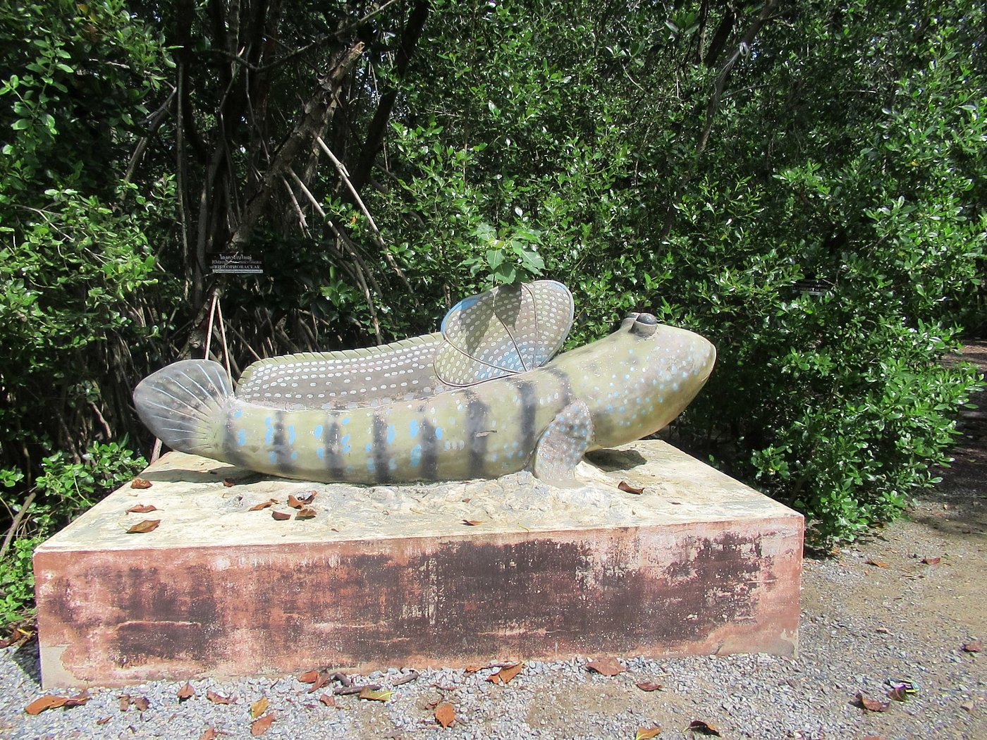 ศูนย์ศึกษาธรรมชาติป่าชายเลนอ่าวมหาชัย - รูปที่ 1