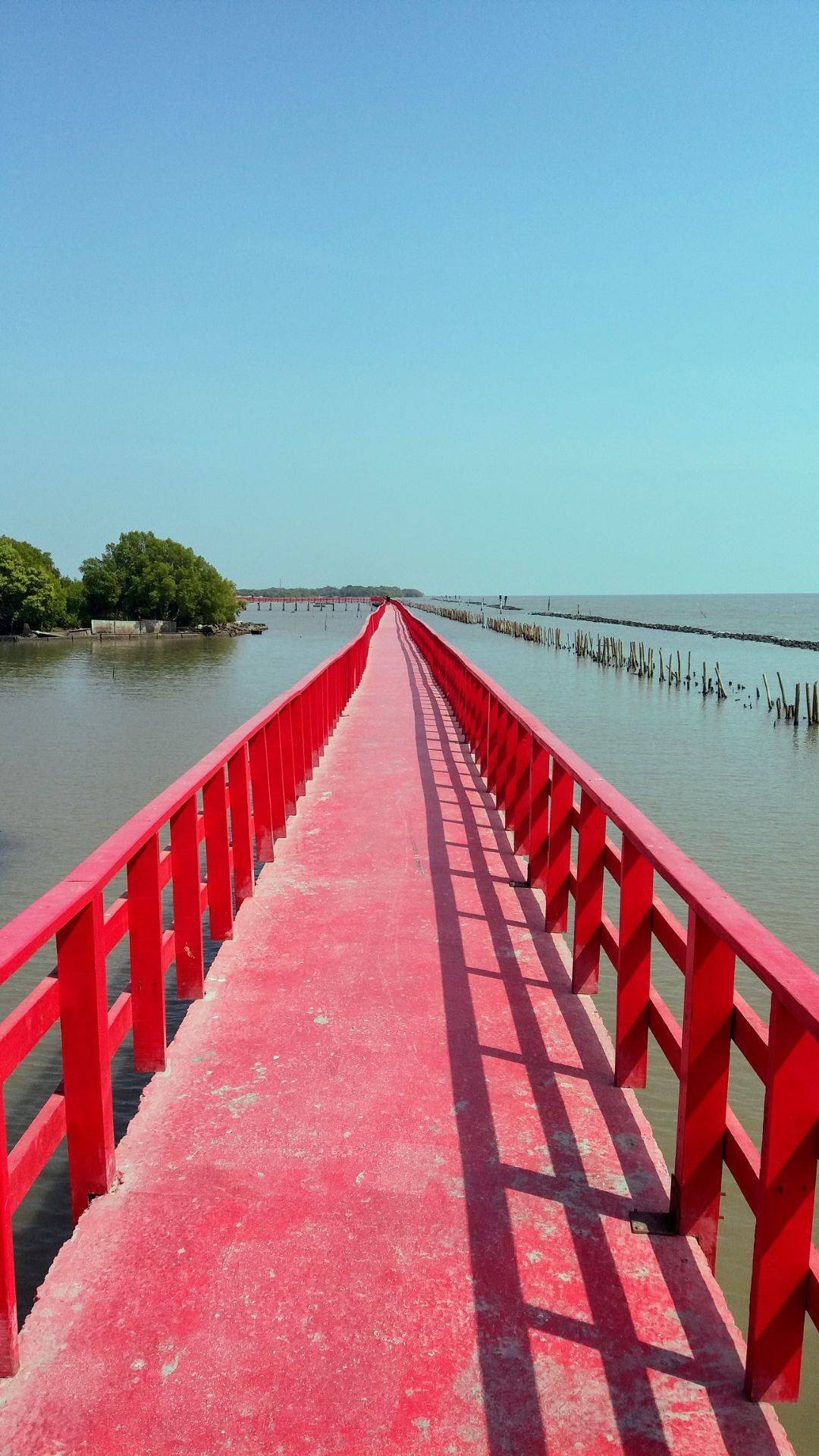 สะพานแดง จุดชมวิวปลาโลมา - รูปที่ 2